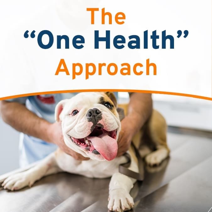 TheOneHealthApproach